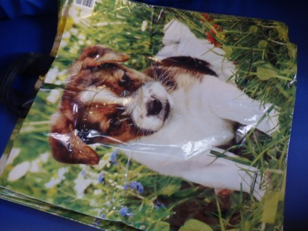 /products/c-1452-taska-ucho-fotopotisk-45x48-5cm-1-84-50ks/